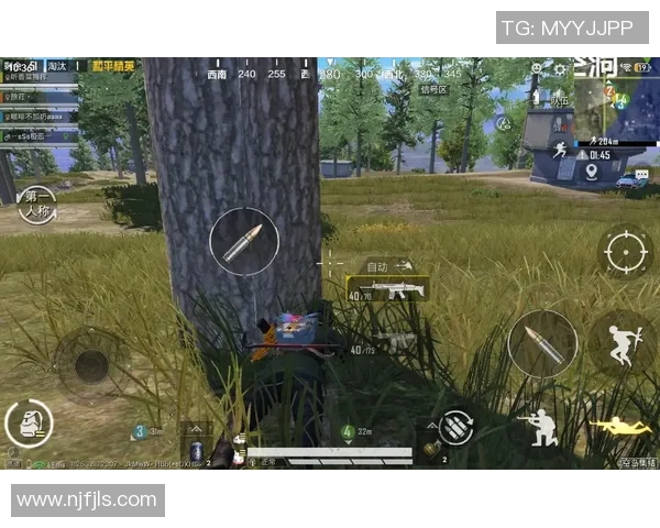 和平精英专题深度解析FPX战队在比赛中的耐力与策略表现