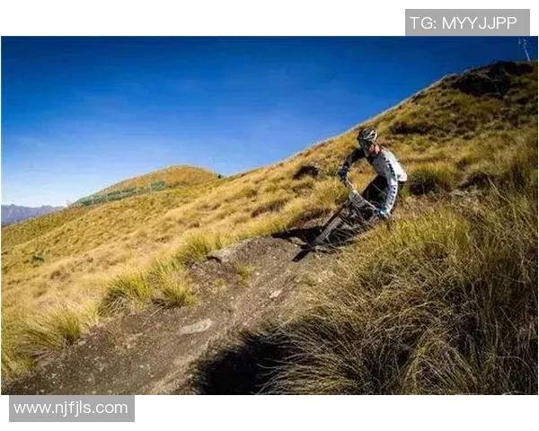 极限运动战术解析：北京极限运动队的反击策略与实战应用